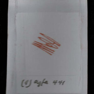 Lot 244 - SPERATI Reproduction: "ACM" Initials in red on celluloid - Image 1