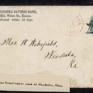 Lot 264 - UNITED STATES: Classic Fancy Cancels Forgeries; 22 covers and 2 stamps - Image 6