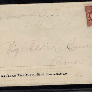 Lot 264 - UNITED STATES: Classic Fancy Cancels Forgeries; 22 covers and 2 stamps - Image 7