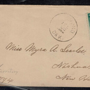Lot 264 - UNITED STATES: Classic Fancy Cancels Forgeries; 22 covers and 2 stamps - Image 12