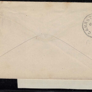 Lot 264 - UNITED STATES: Classic Fancy Cancels Forgeries; 22 covers and 2 stamps - Image 24