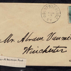 Lot 264 - UNITED STATES: Classic Fancy Cancels Forgeries; 22 covers and 2 stamps - Image 42