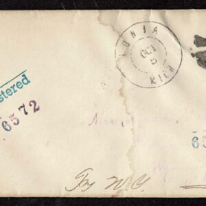 Lot 269 - UNITED STATES: Early Perforated Issues to 90c, 33 Covers - Image 16