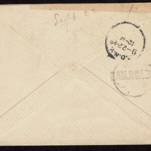 Lot 269 - UNITED STATES: Early Perforated Issues to 90c, 33 Covers - Image 25