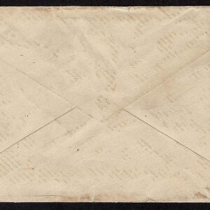 Lot 269 - UNITED STATES: Early Perforated Issues to 90c, 33 Covers - Image 40