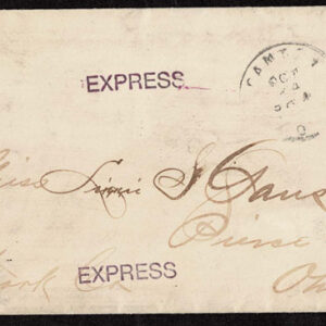 Lot 269 - UNITED STATES: Early Perforated Issues to 90c, 33 Covers - Image 55