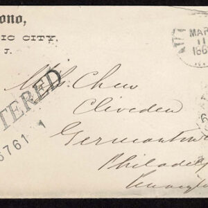 Lot 269 - UNITED STATES: Early Perforated Issues to 90c, 33 Covers - Image 58