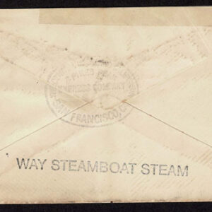 Lot 269 - UNITED STATES: Early Perforated Issues to 90c, 33 Covers - Image 64