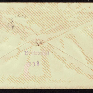 Lot 269 - UNITED STATES: Early Perforated Issues to 90c, 33 Covers - Image 66