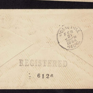 Lot 274 - UNITED STATES FORGERIES & FANTASIES: 1893 Columbian Issue; 18 Covers to $5.00 - Image 13