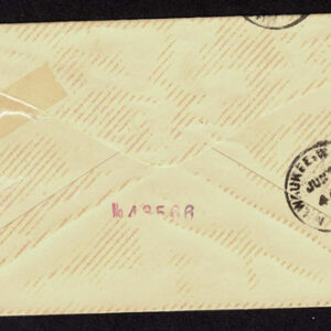 Lot 274 - UNITED STATES FORGERIES & FANTASIES: 1893 Columbian Issue; 18 Covers to $5.00 - Image 24