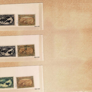 Lot 276 - UNITED STATES FORGERIES & FANTASIES: 1893 Columbians Expositions & Trans- Mississippi Issues; 116 "stamps" - Image 15