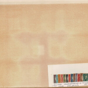 Lot 282 - UNITED STATES FORGERIES & FANTASIES: 20th Century 1250 stamps - Image 19