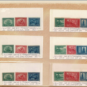 Lot 282 - UNITED STATES FORGERIES & FANTASIES: 20th Century 1250 stamps - Image 24
