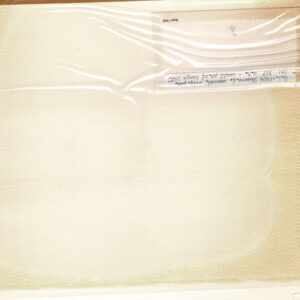 Lot 282 - UNITED STATES FORGERIES & FANTASIES: 20th Century 1250 stamps - Image 40