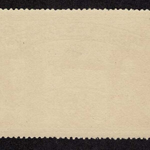 Lot 307 - FORGERIES & FANTASIES:   Newfoundland select group of six rarities - Image 8