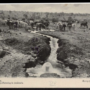 Lot 355 - BRITISH SOLOMON ISLANDS: 1912 George V, 4 Value & Duty Die Proofs; 1/2d. 1d, 3d,11d - Image 2