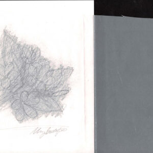 Lot 360 - BRITISH SOLOMON ISLANDS: 1993 set of six preliminary drawings of the Orchid Aerogramme by Mary Butterfield - Image 3