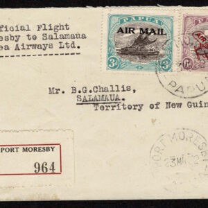 Lot 511 - PAPUA NEW GUINEA: 1901 to 1910 Latakoi Issue, 39 mint stamps and 11 covers 3 good covers - Image 23