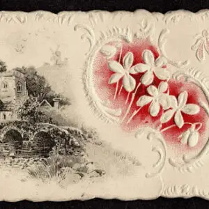 Lot 051 - UNITED STATES: Maine; 1851-1855 3c brownish carmine - Image 3