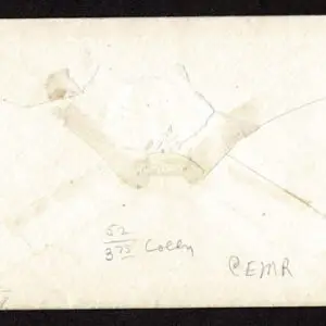 Lot 099 - UNITED STATES: 1851-56 3c reds; The New England & NY remainder of 16 covers - Image 31